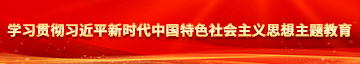 同学操我小穴学习贯彻习近平新时代中国特色社会主义思想主题教育